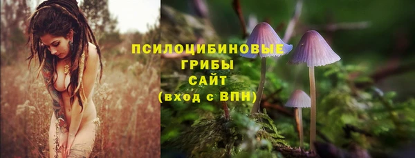 меф Коряжма