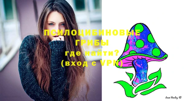мяу мяу мука Костерёво