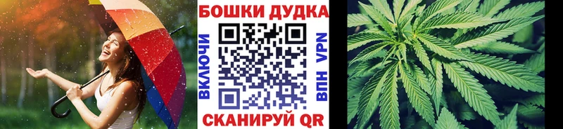 Купить  Петрозаводск  МАРИХУАНА SATIVA & INDICA 